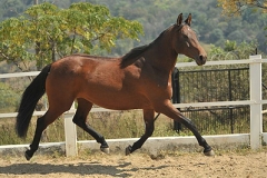 conchita4