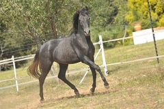 tardorno1