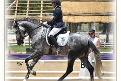 tardorno1
